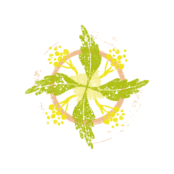 Haelsa tea tree & rhassoul scrub soap logo